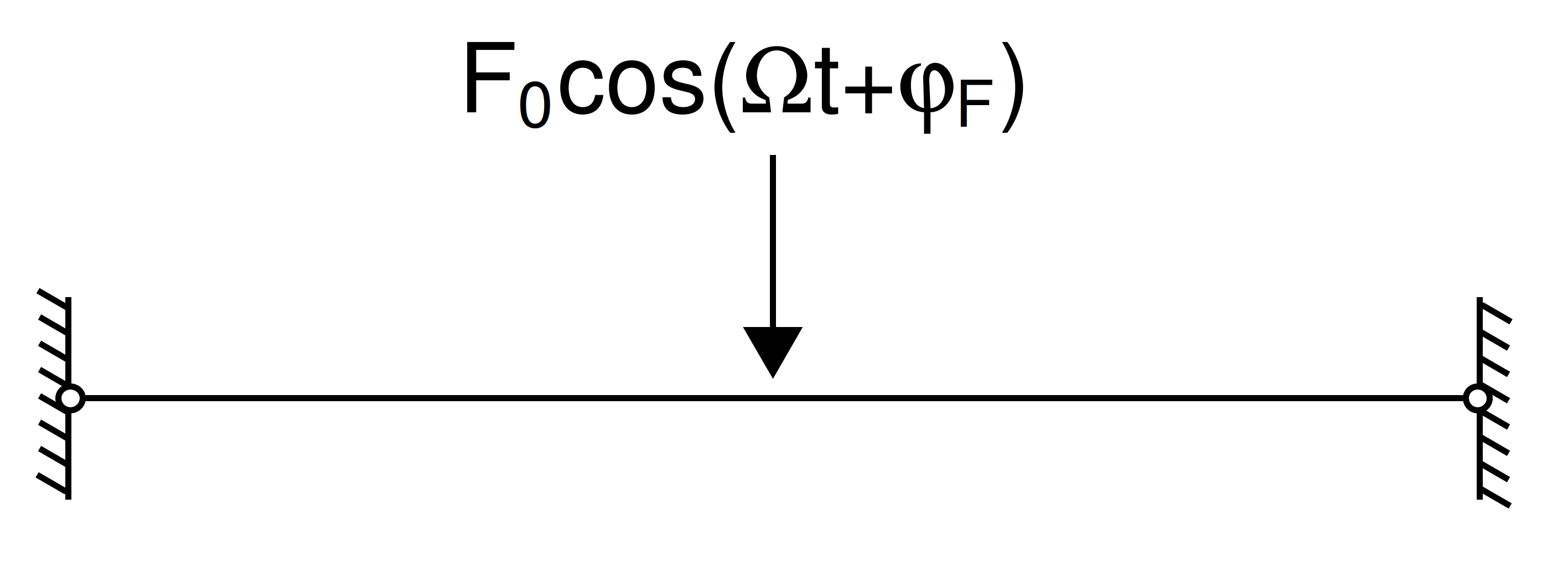 Host structure for the validation of the different models